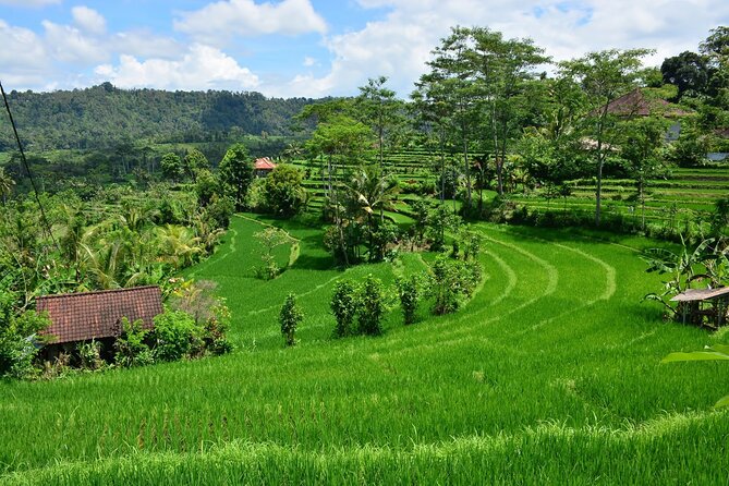 East Bali Tour: Gate of Heaven, Water Palace, Sleeping Gajah - The dam and waterfall curtain panorama stop