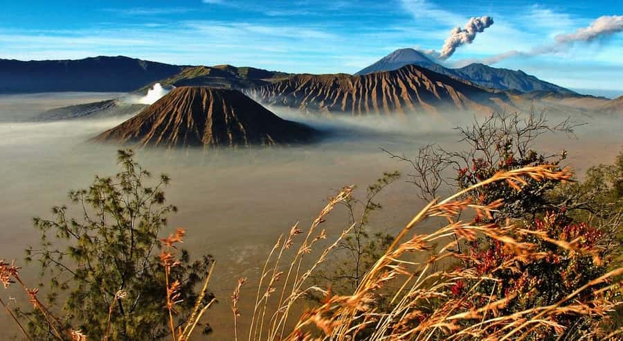 East Java: 3D2N Ijen Crater, Bromo, & Tumpak Sewu Waterfall - Practical Tips for Making the Most of Each Stop