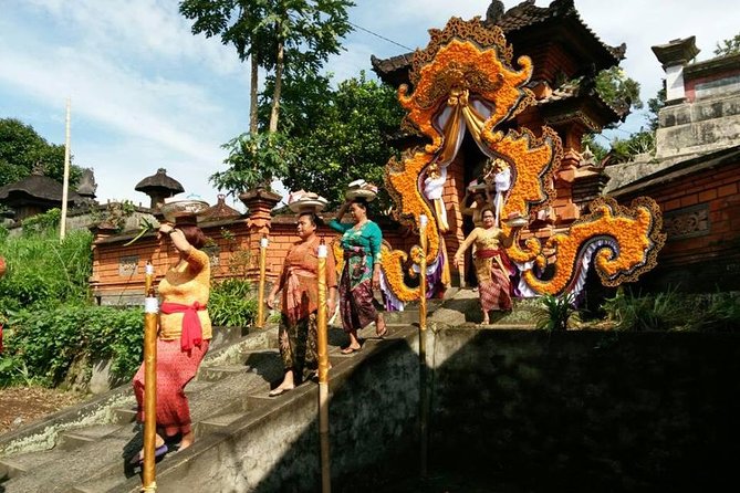Electric Cycling Tour of Ubud with Free Hotel Transfer and Lunch - Stop 3: Ubud Jungle Swing, coffee plantation life, and the fun break