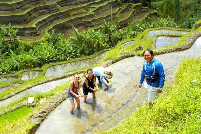 Electric Cycling Tour of Ubud with Free Hotel Transfer and Lunch - The meal stop: lunch or dinner that ends the ride on an easy note