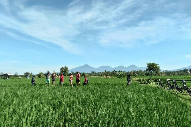 Electric Cycling Tour of Ubud with Free Hotel Transfer and Lunch - Riding reality check: where the fun meets traffic and narrow rice paths