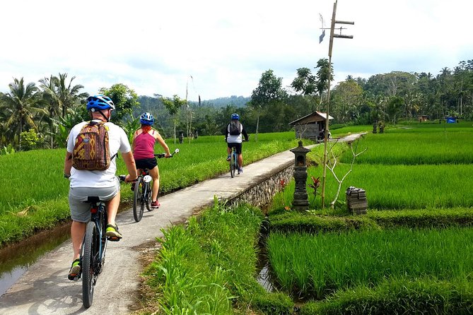 Electric Cycling Tour of Ubud with Free Hotel Transfer and Lunch - Price and logistics: what your $41 actually buys