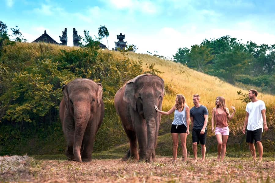 Elephant Care Experience with Mud Bath at Bali Zoo - The morning flow, pickup timing, check-in, and meeting your mahout
