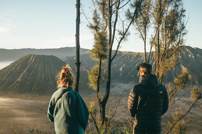 Epic Mount Bromo Sunrise Tour from Surabaya & Malang - Pickup and the Cold Drive to Penanjakan (Surabaya or Malang)