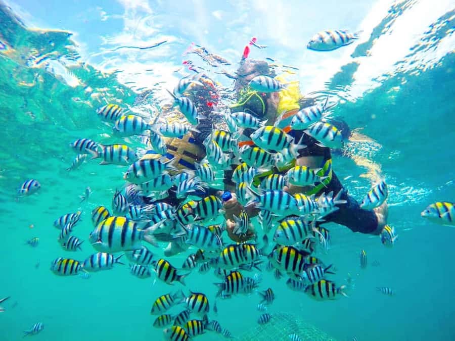 Exclusive Gili Nanggu, Sudak, and Kedis Tour Featuring GoPro - Gili Nanggu: the reef-focused stop where GoPro clips happen