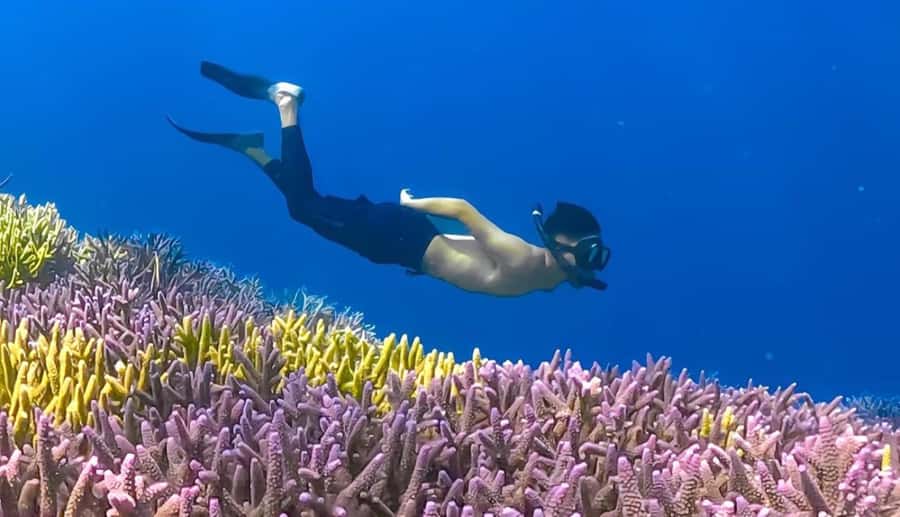 Exclusive Gili Nanggu, Sudak, and Kedis Tour Featuring GoPro - Price and value at $41 per person, plus what to budget