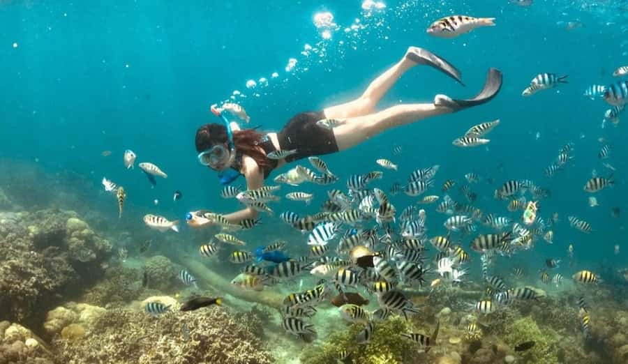 Exclusive Gili Nanggu, Sudak, and Kedis Tour Featuring GoPro - English guide support, and what that means for your comfort