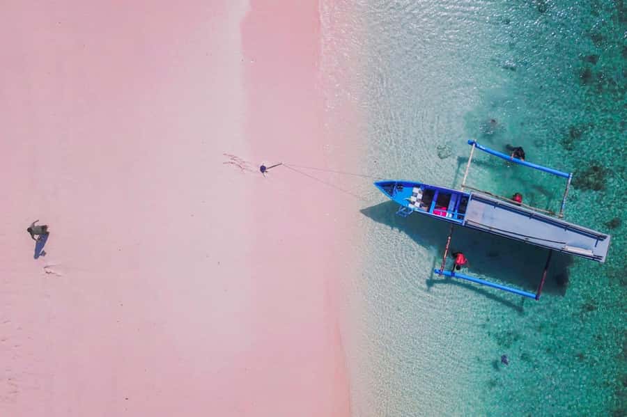 Exclusive One-Day Tour to Lombok's Pink Beach and 3 Gilis - Key points to know before you go