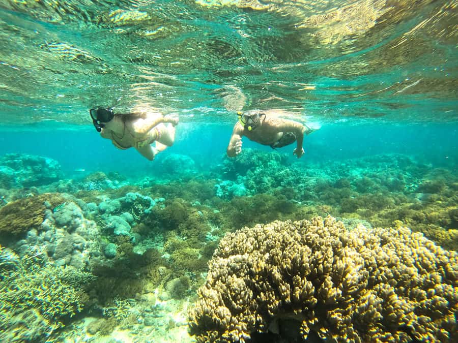 Exclusive One-Day Tour to Lombok's Pink Beach and 3 Gilis - Pink Beach 1 (Tangsi Beach) and Pink Beach 2, where you pause and recharge