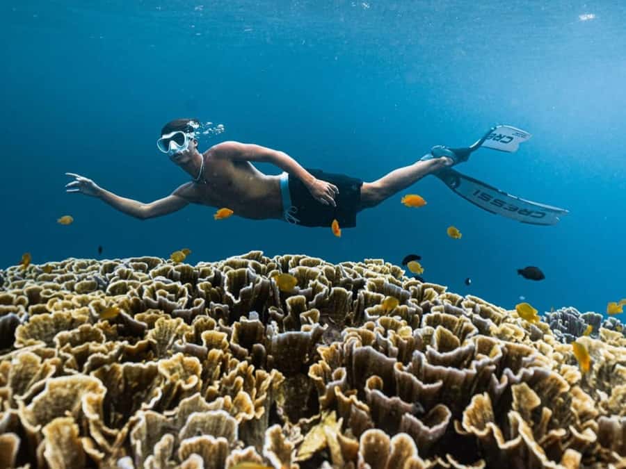 Exclusive One-Day Tour to Lombok's Pink Beach and 3 Gilis - Optional Tanjung Ringgit, breathtaking cliffs if you want the extra ride