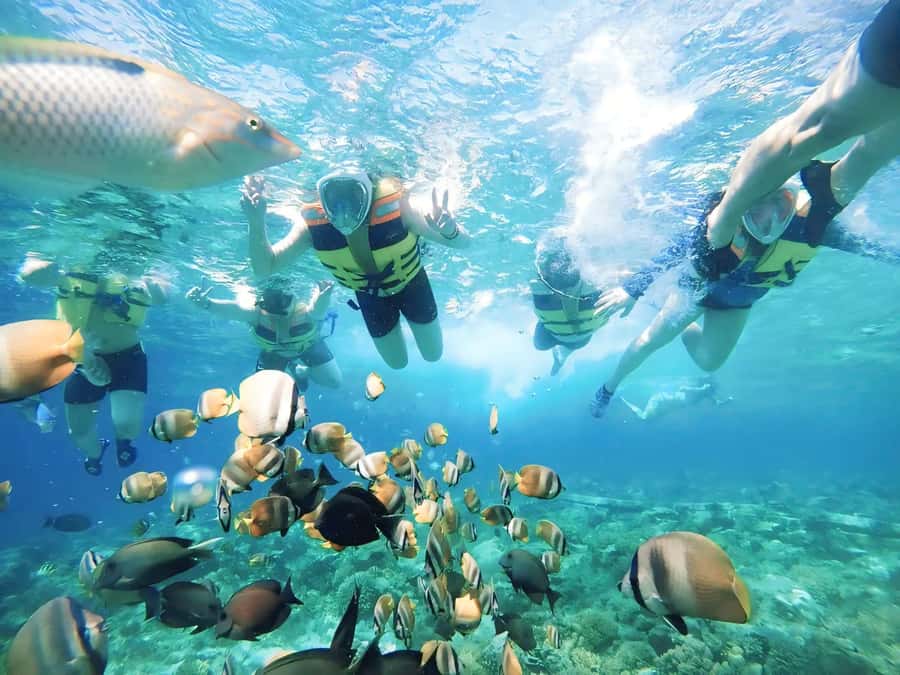 Exclusive One-Day Tour to Lombok's Pink Beach and 3 Gilis - From your hotel to Dermaga Tanjung Luar, it’s a long day in the best way