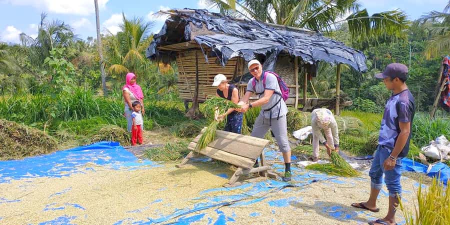 Exclusive Tetebatu: Waterfall, Rice Fields, Monkey & Weaving - Key highlights at a glance