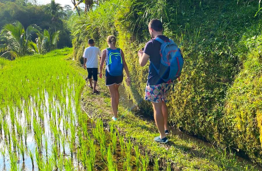 Exclusive Tetebatu: Waterfall, Rice Fields, Monkey & Weaving - Why Tetebatu plus weaving makes a smart use of your time
