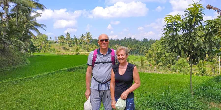 Exclusive Tetebatu: Waterfall, Rice Fields, Monkey & Weaving - Rice fields walking tour, and what you learn from farm-country views