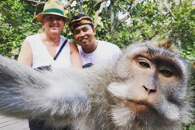 Exclusive Ubud Day Tour - What Your Guide Customization Can Look Like in Real Life