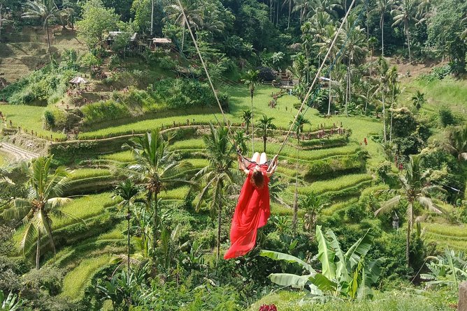 Exclusive Ubud Day Tour - Seminyak Pickup and an Air-Conditioned Ride You’ll Appreciate
