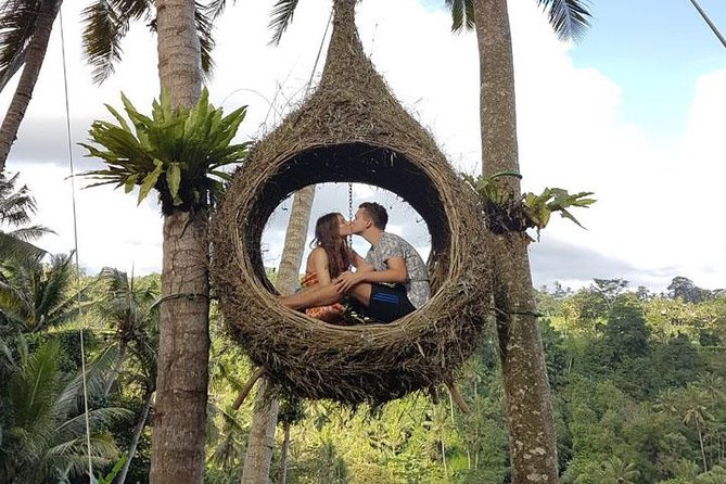 Experience Full Day to Bali Swing Temple and Monkey Forest - Coffee Plantation and the Comfort of a Built-In Break