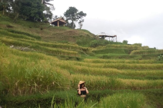 Experience Full Day to Bali Swing Temple and Monkey Forest - Ubud Monkey Forest: Adorable Energy, Phone Protection Required