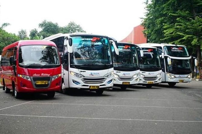 Experience Jakarta Street Food Scene with MRT Transportation - How the Guide Level Shows Up Fast
