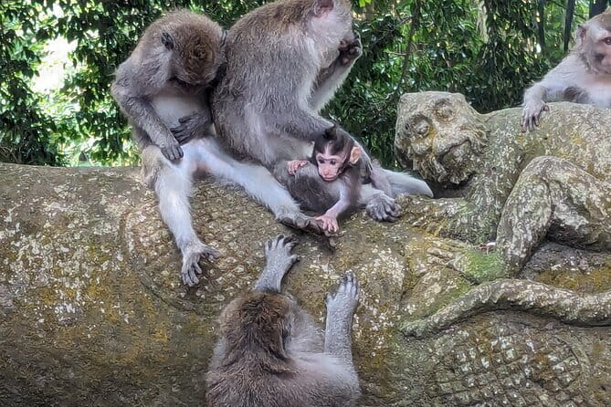 Explore Ubud Art Market, Monkey Forest and Rice Terraces - Why your guide and driver can make or break the day in Ubud
