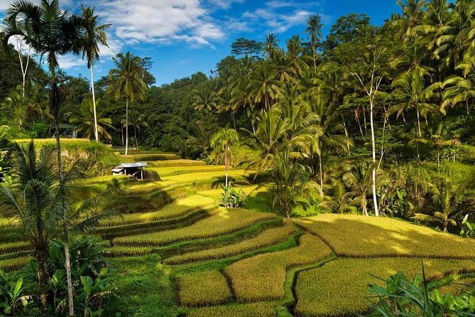 Exploring Bali in 3 Days: Discover Top Places in Bali - Key highlights worth your attention