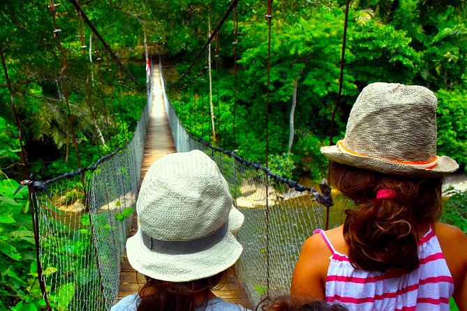 FAMILY JUNGLE TOUR: Orangutan Trek (4-hours hike) by EcoTravel Bukit Lawang - Your Guide Team at EcoTravel Bukit Lawang: Local, English, and Certified