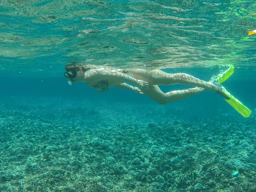From Bali: 2-Day Nusa Penida and Lembongan Complete Tour - Value check: does $265 per person make sense for what you get?
