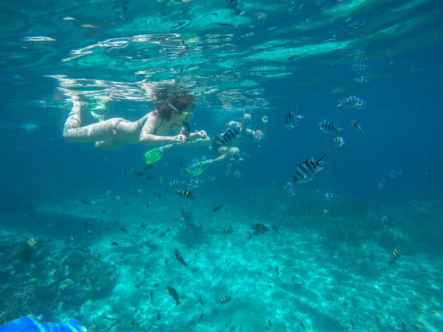 From Bali: 2-Day Nusa Penida and Lembongan Complete Tour - Hotel right on the beach: Mahagiri Resort or d’Nusa Beach Resort