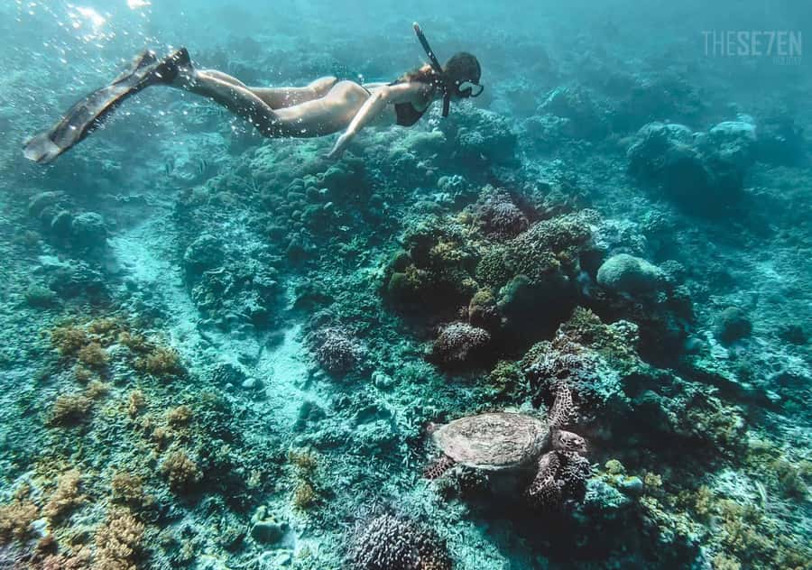 From Bali: 2-Day Private Gili Island Snorkel Tour with Hotel - Bali to Gili in two days, without the usual chaos