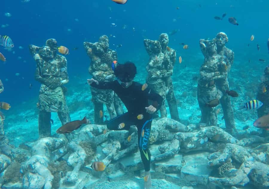 From Bali: 2-Day Private Gili Island Snorkel Tour with Hotel - Your hotel choice: Standard vs Premium, and why it matters on Gili