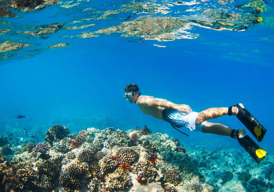 From Bali: 2-Day Private Gili Island Snorkel Tour with Hotel - Who this tour suits best, and who should skip it