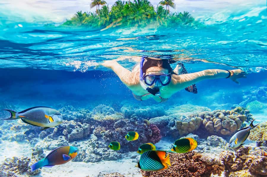 From Bali: 3 Snorkeling Spots Tour to Lembongan and Penida - Why Lembongan and Penida are worth your snorkeling day