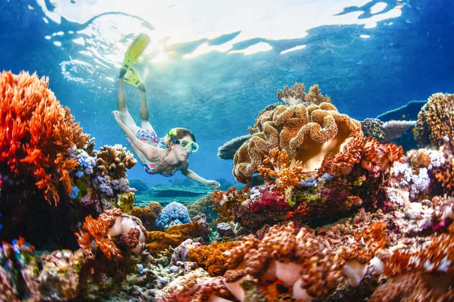 From Bali: 3 Snorkeling Spots Tour to Lembongan and Penida - Morning logistics: getting from Bali to Serangan to Lembongan