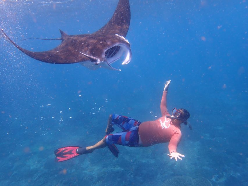 From Bali: 3 Snorkeling Spots Tour to Lembongan and Penida - The three snorkeling stops: what each one is likely to deliver