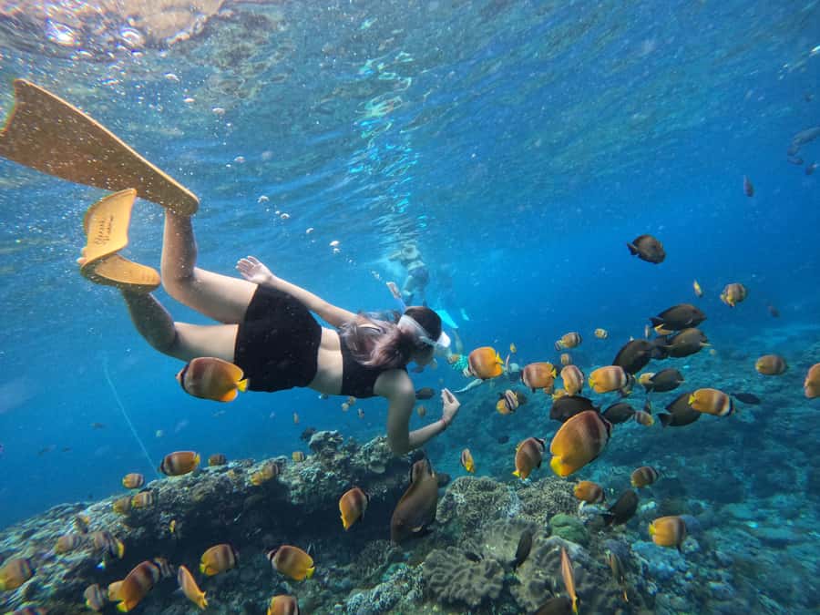 From Bali: 3 Snorkeling Spots Tour to Lembongan and Penida - Price and value for $55 per person