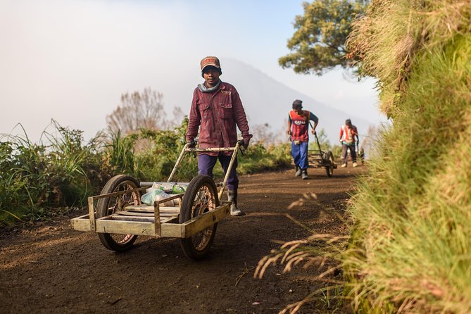 From Bali : Bromo & Kawah Ijen - 3-Day Adventure - Day 2 Bromo at first light: jeep ride, 250 steps, sea-of-sand vibes