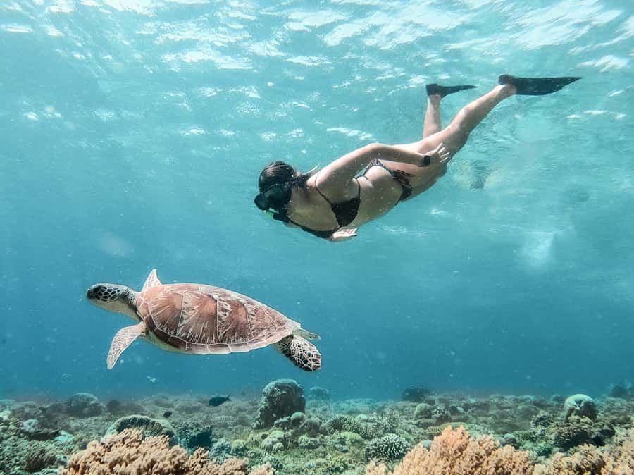 From Bali: Gili Islands Private Snorkeling Day Trip - Bali to Gili Trawangan in one day, without the stress