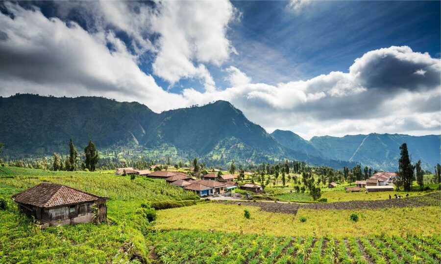 From Bali: Mount Bromo and Blue Fire Ijen Crater 3-Day Tour - Penanjakan Sunrise by 4WD Jeep, Then the Bromo Trek That Ends in Panoramas