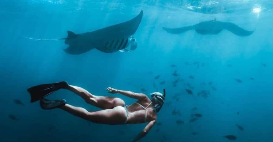 From Bali: Nusa Penida Full Day Private Snorkeling Tour - Your private snorkeling setup: gear, GoPro, and hands-on help