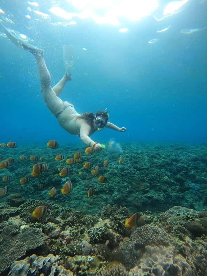 From Bali: Nusa Penida Full Day Private Snorkeling Tour - Gamat Bay: more secluded, more relaxed, better for steady reef watching