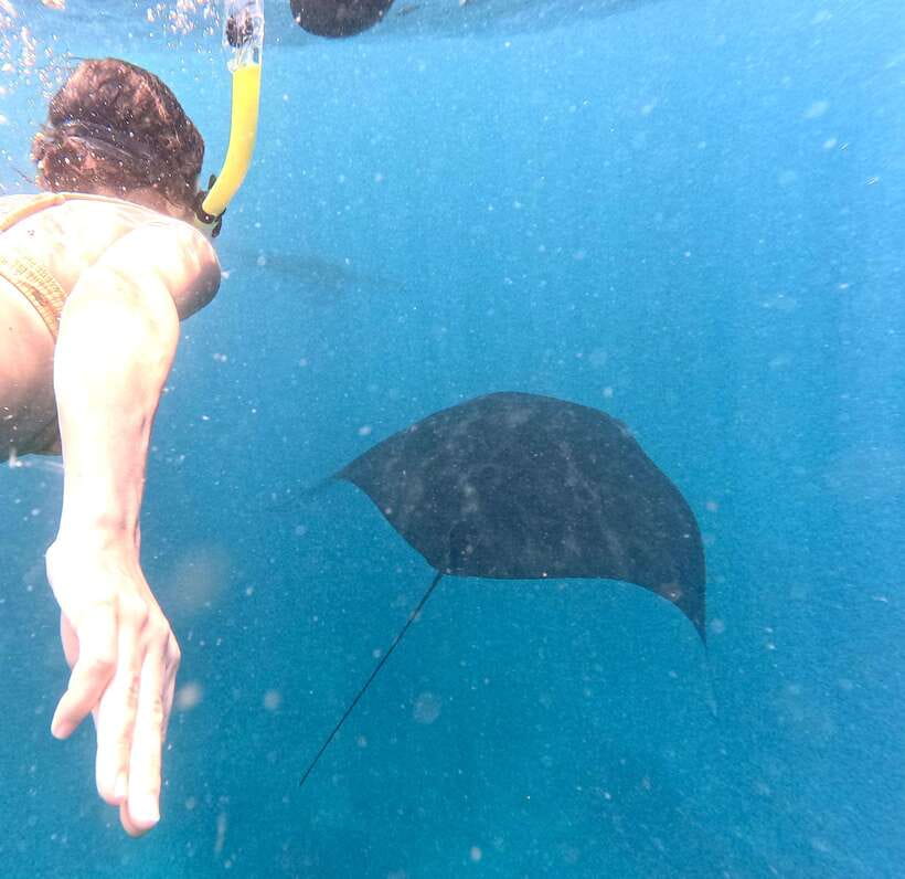 From Bali: Nusa Penida Full Day Tour and Snorkeling 3 Spots - Key things I’d watch for before you go