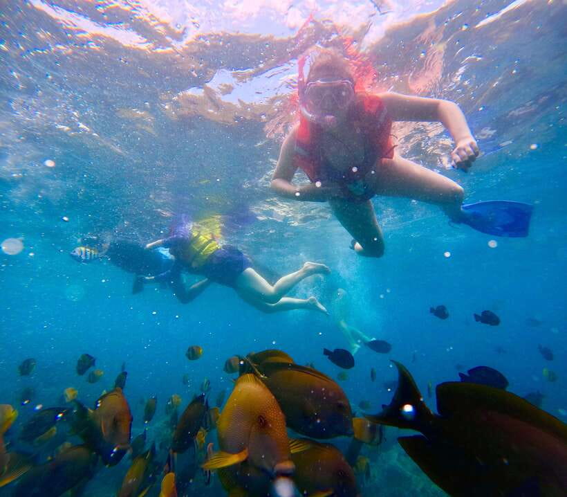 From Bali: Nusa Penida Full Day Tour and Snorkeling 3 Spots - Kelingking Beach: why this stop earns its reputation