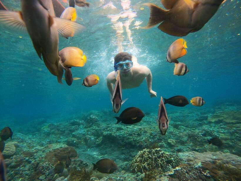 From Bali: Nusa Penida Full Day Tour and Snorkeling 3 Spots - The snorkeling plan: three chances at Manta Bay, Gamat Bay, and Crystal Bay