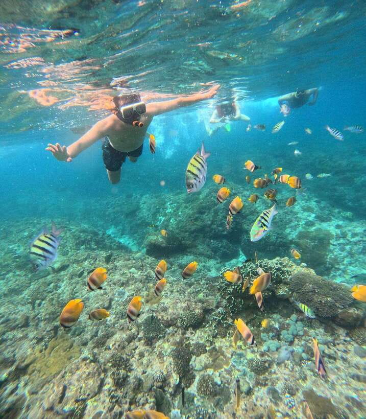 From Bali: Nusa Penida Full Day Tour and Snorkeling 3 Spots - Private boat vs group snorkeling: where your money actually shows