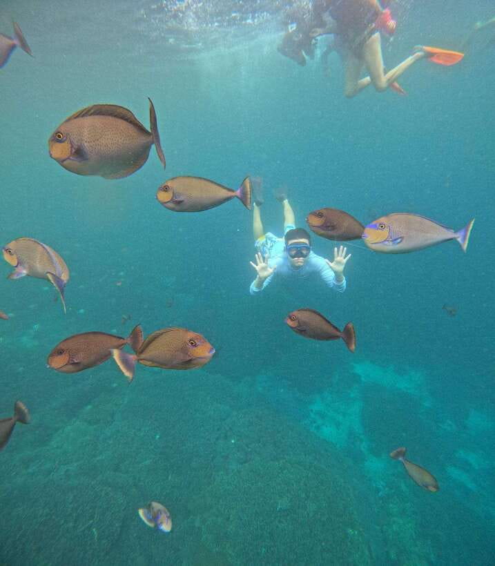 From Bali: Nusa Penida Full Day Tour and Snorkeling 3 Spots - Price check: is $105 per person good value?
