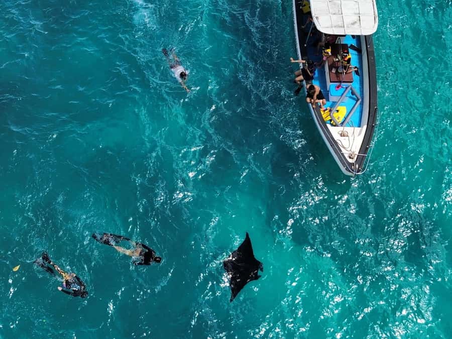 From Bali: Nusa Penida Private Snorkeling and Land Tour - Practical Tips I’d Use Before You Go