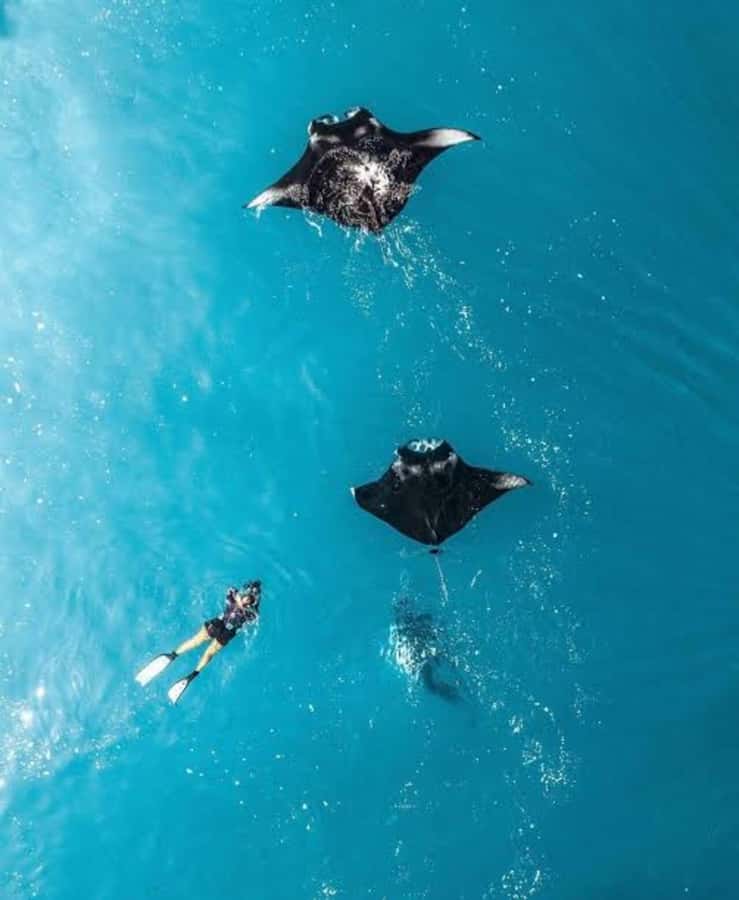 From Bali: Nusa Penida Private Snorkeling and Land Tour - From Sanur to Nusa Penida, the Day Starts Built for Motion