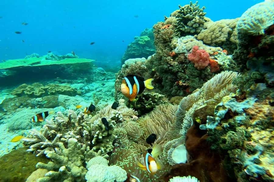From Bali: Nusa Penida Private Snorkeling and Land Tour - The Return to Bali: Fastboat Comfort, Minus the Guaranteed Calm