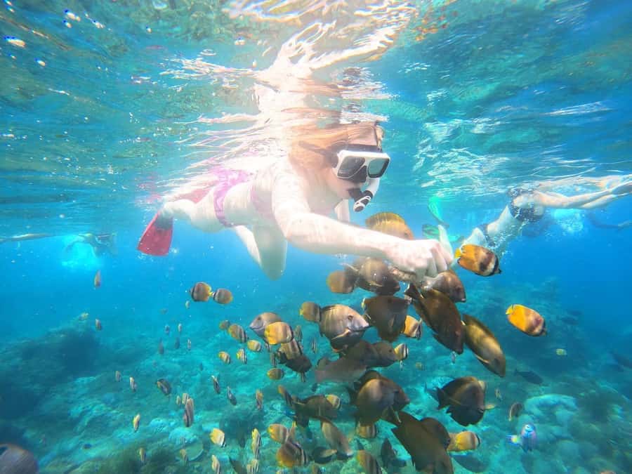 From Bali: Nusa Penida Private Snorkeling and Land Tour - The Snorkeling Plan: Three Stops That Feel Purposeful
