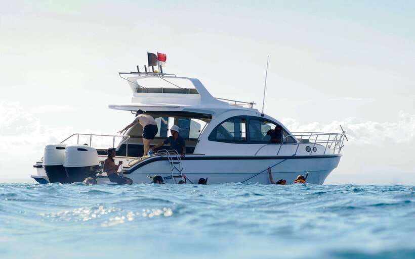 From Bali: Nusa Penida Private Snorkeling Tour with Lunch - Final snorkeling at Mangrove Point near Nusa Lembongan